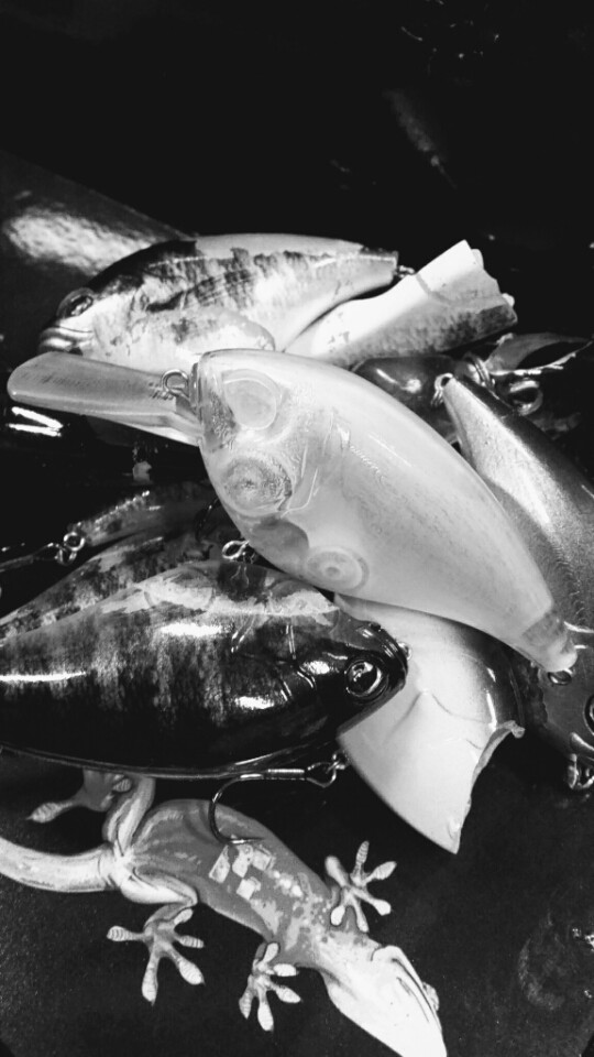 o0540096014141222542