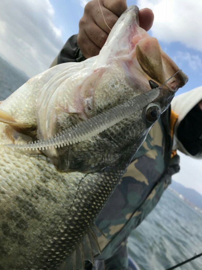 o0719096014149341794