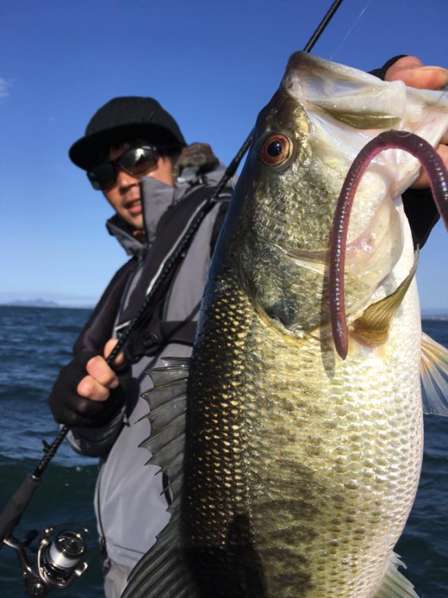 o0720096014155927237