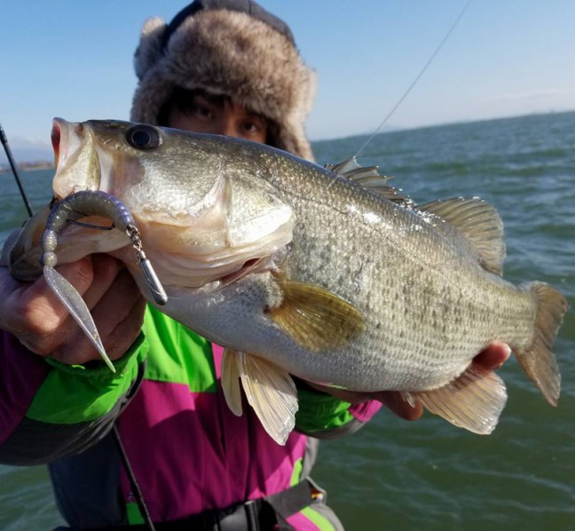 o0960088714157270085