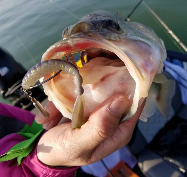 o0960090814157270113