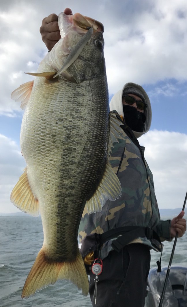 o1000163814141809931