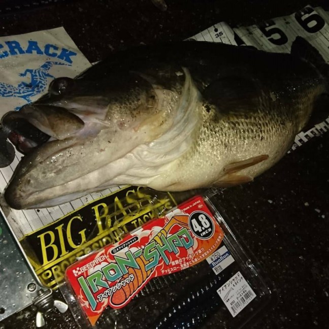 o1080108014148386546