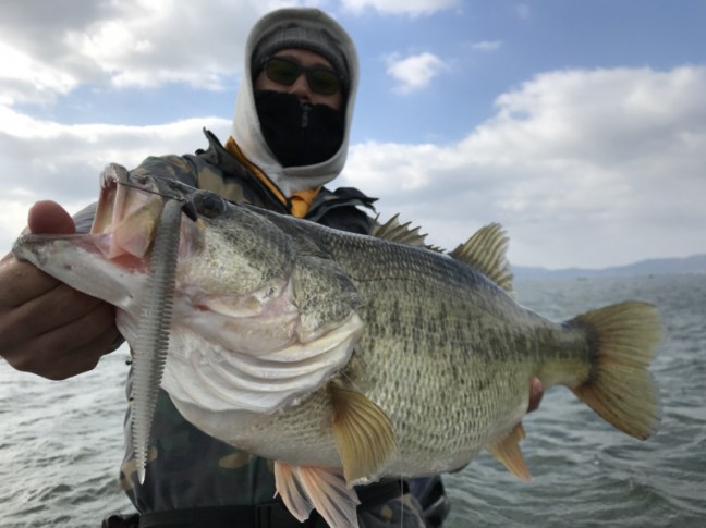 o1478110814141809939