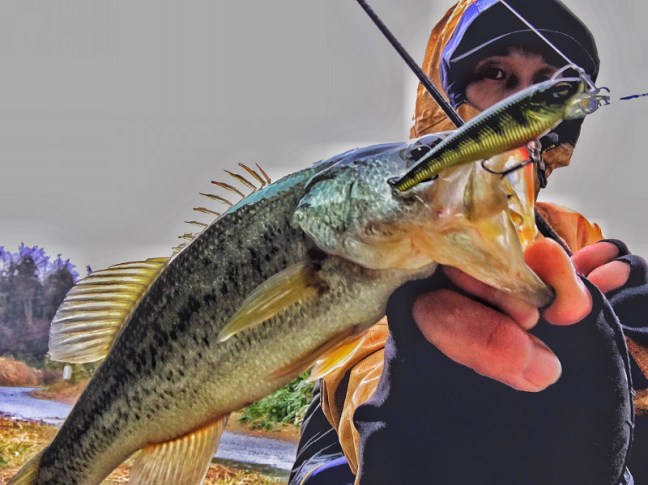 o1478110814148393292