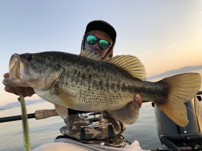 o1478110814149520571