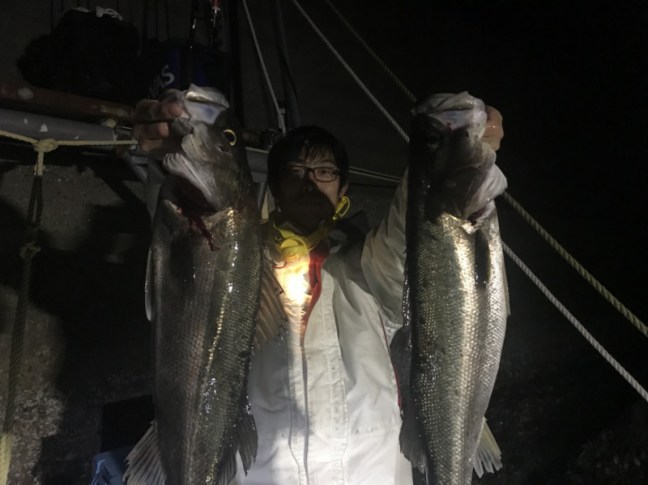 o1478110814153201937