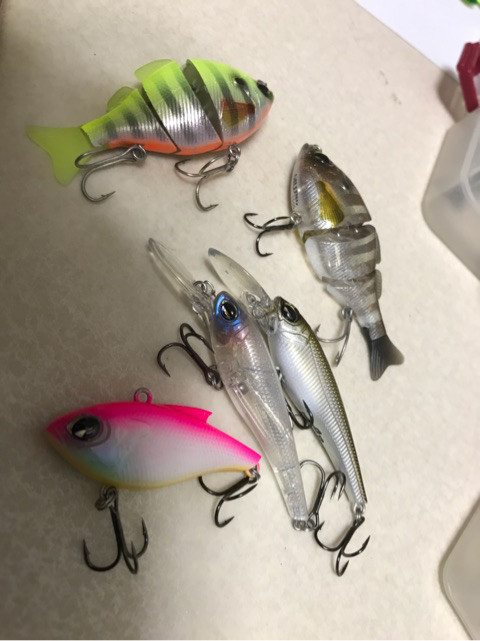 o0480064114173037504