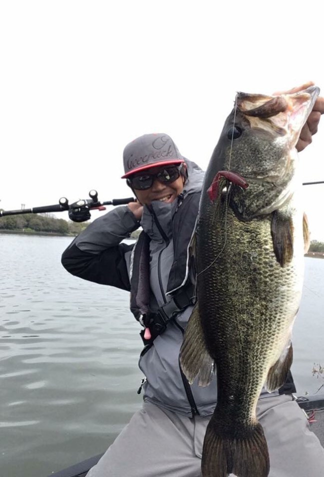 o0652096014165709986