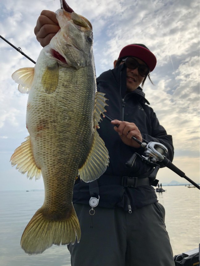 o0800106614171639368