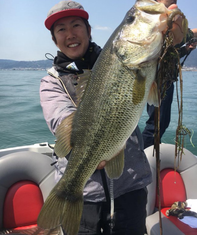 o0804095914160969863