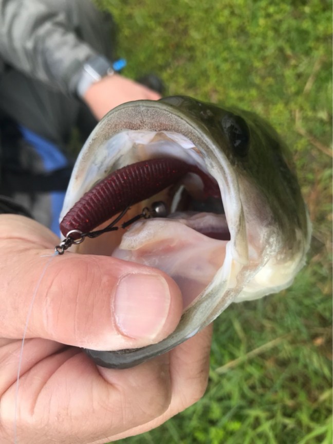 o0810108014172831241