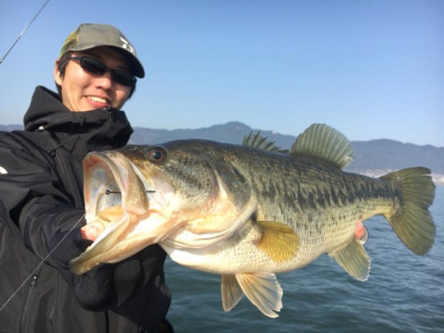 o0960072014160969865