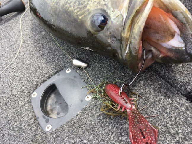 o0960072014165709994