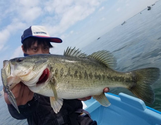 o0960074914165426464