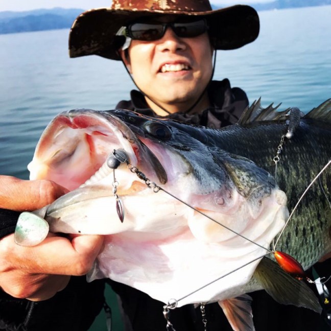 o0960096014168632490