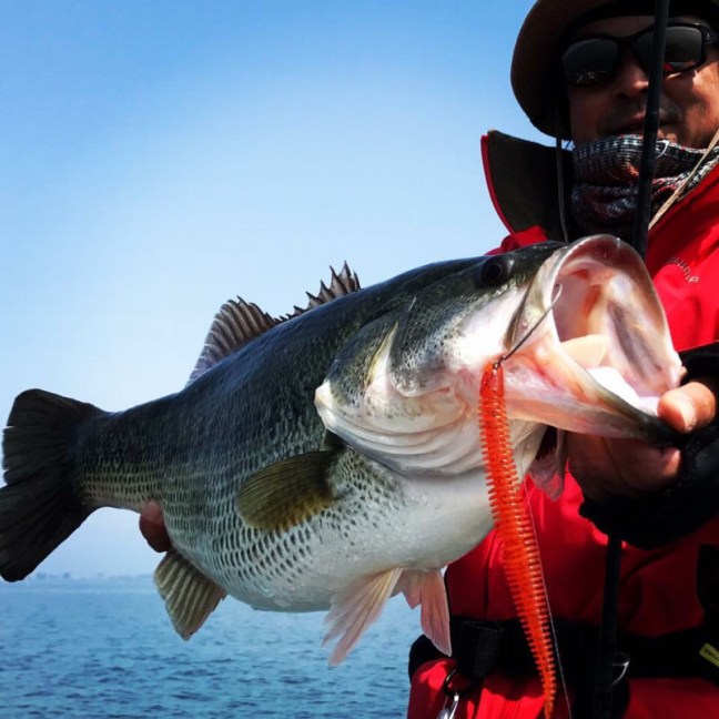 o0960096014168632527