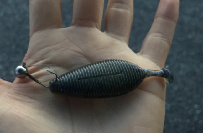 o1080071014173104094