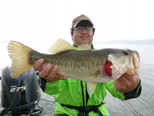 o1080081014165706680