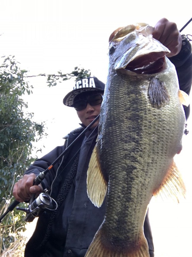 o1108147814157212782