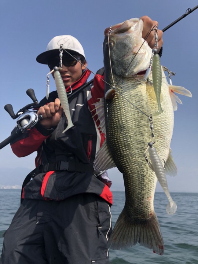 o1108147814174657452