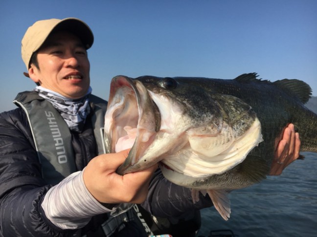 o1478110814174712541