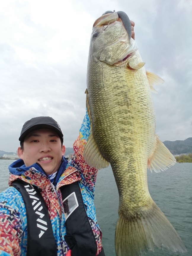 o1536204814174653732