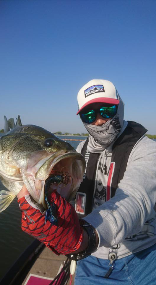 o0528096014183762942