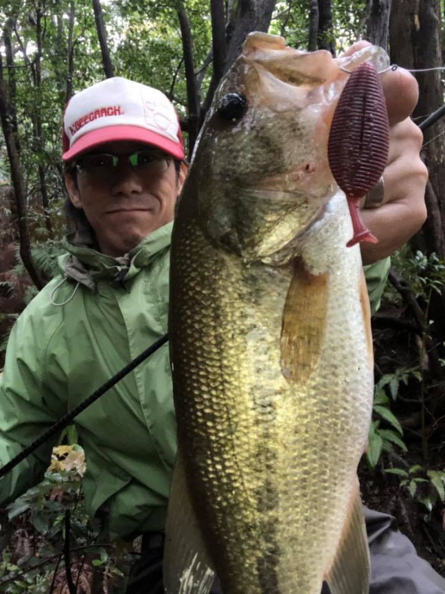 o0720096014174703886