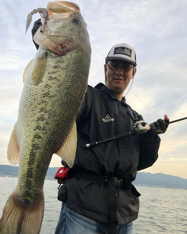 o0768096014198012688