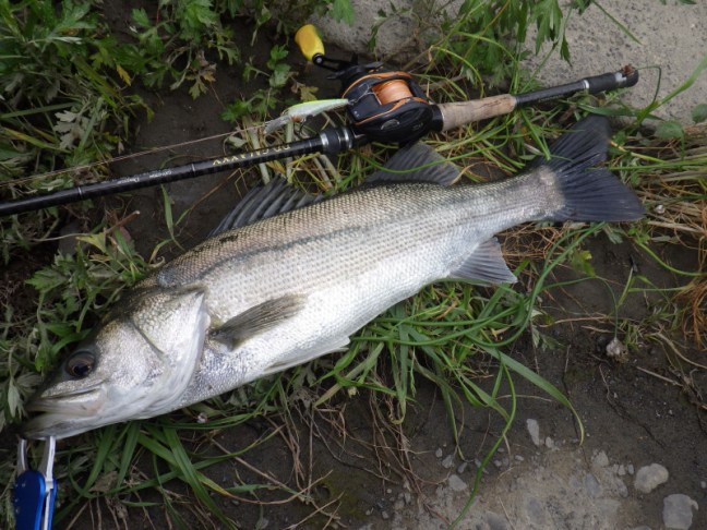 o0800060014189386118