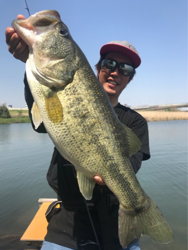 o0810108014174188035 (1)