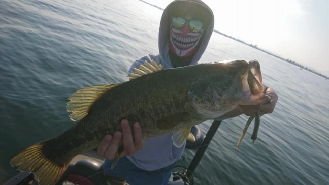 o0960054014189391718