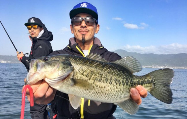 o0960061214183794626