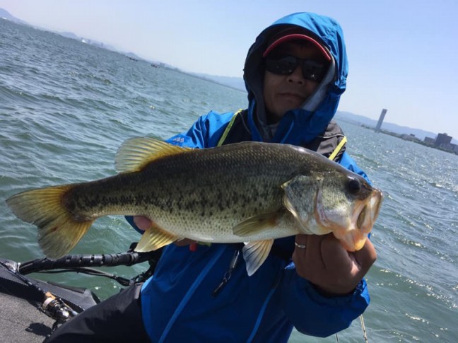 o0960071914189393814