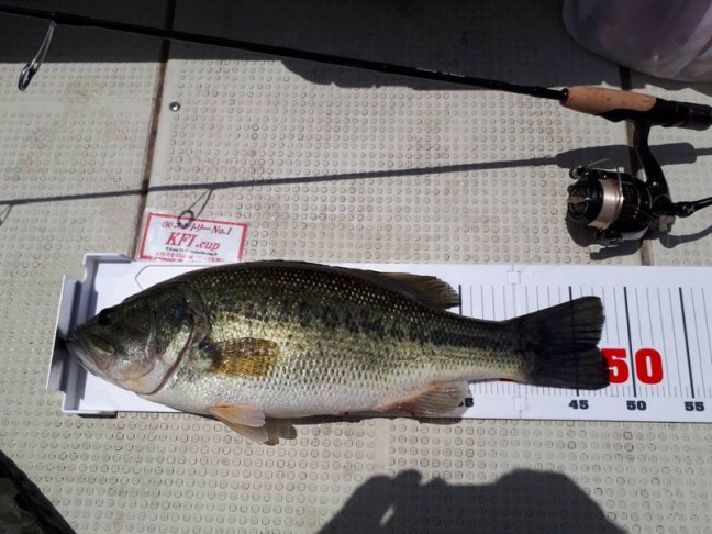 o0960072014199789531