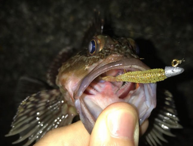 o0960072414189492513