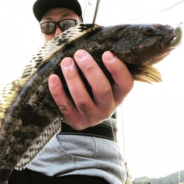 o0960096014189394490