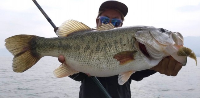 o1080053514192980827