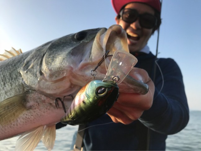 o1080081014190945515