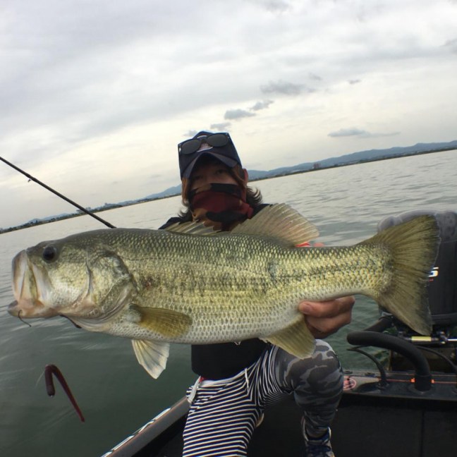 o1080108014200115575