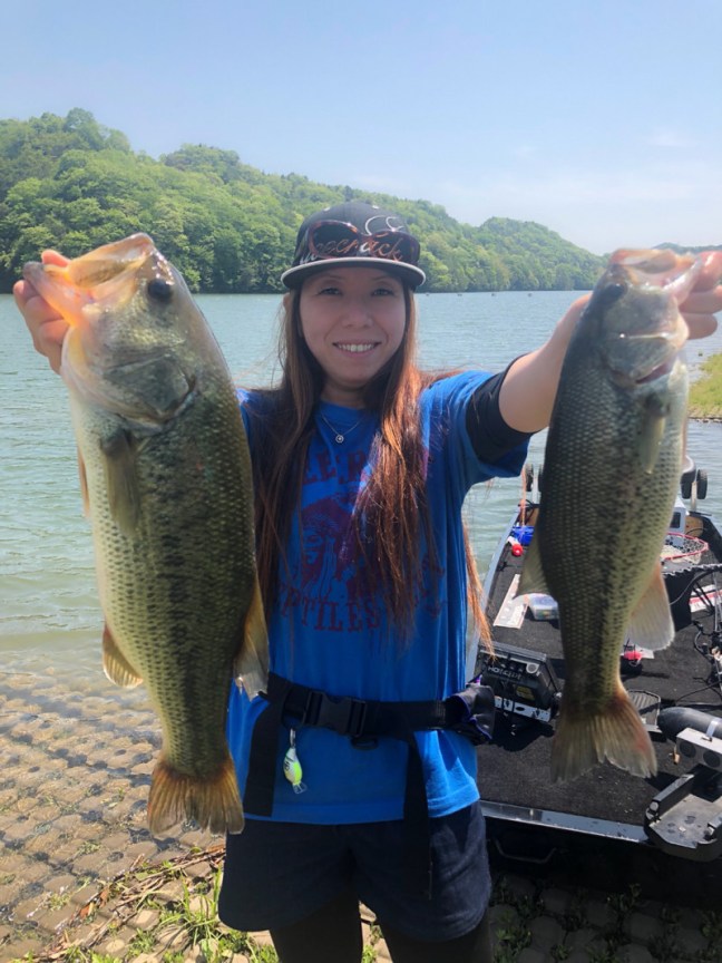 o1108147814189474181