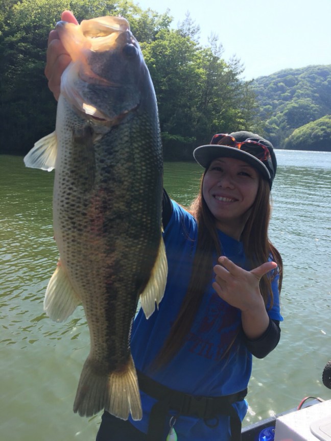 o1108147814189474213