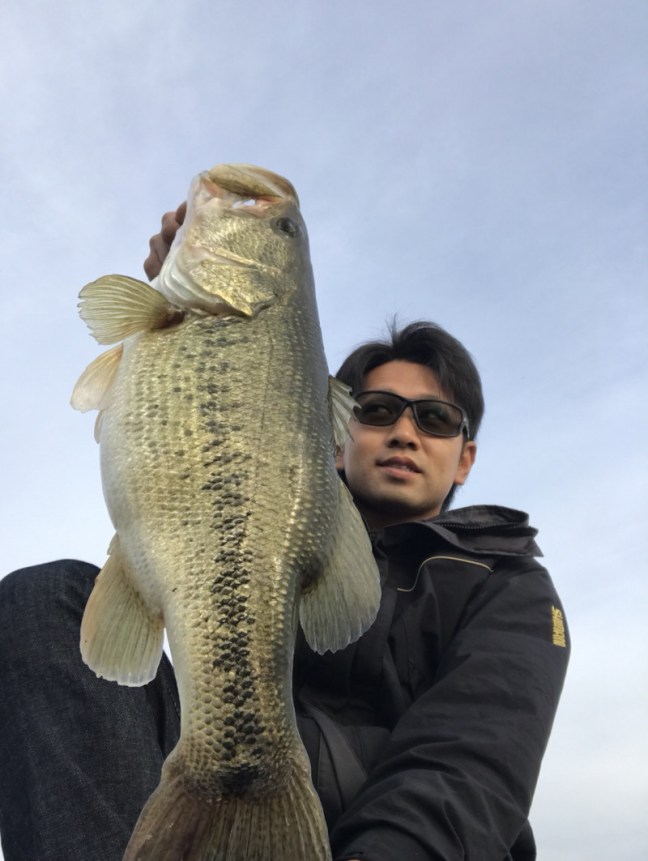 o1110147614200145225