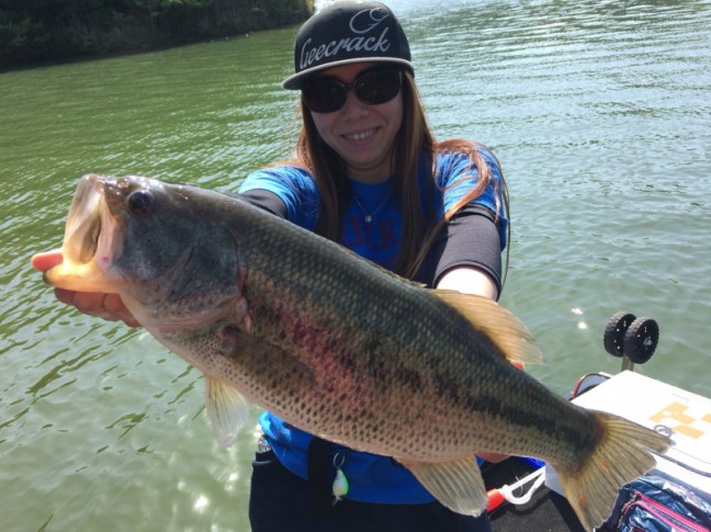 o1478110814189474239