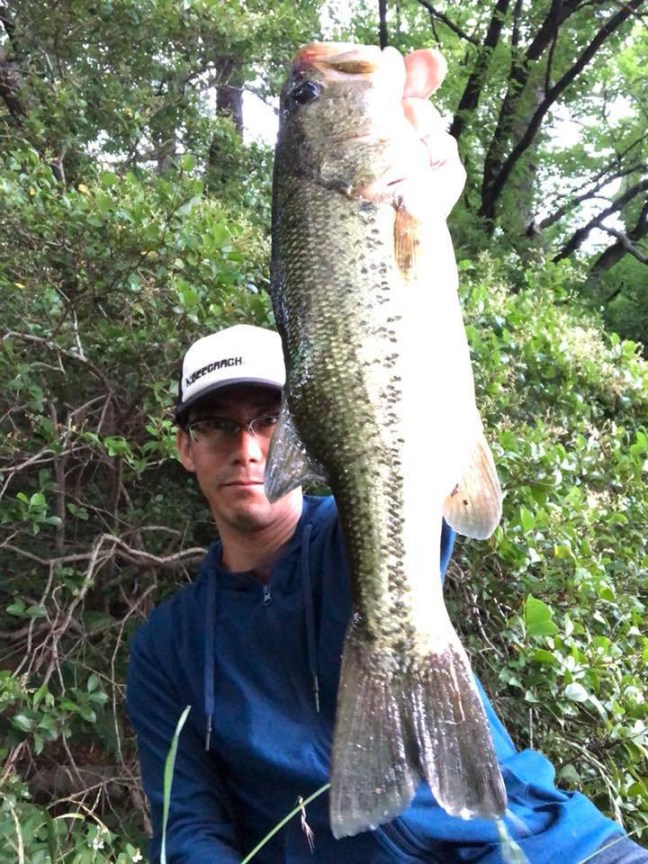 o0720096014211767473