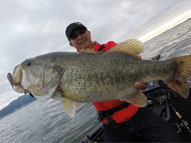 o0800060014212414134