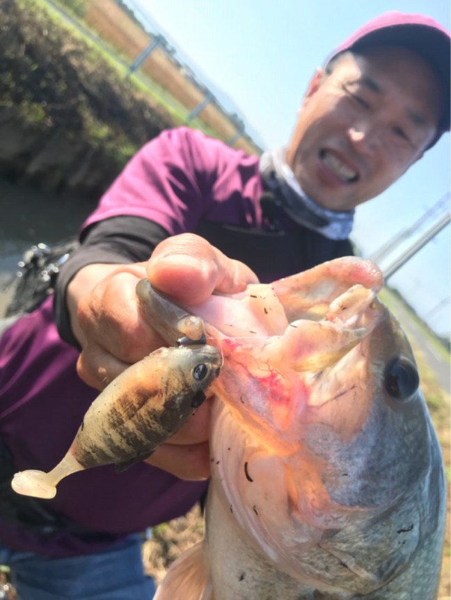 o0810108014202699803