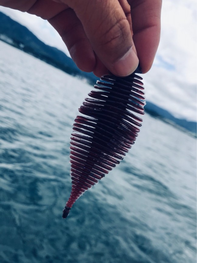 o0810108014209669144