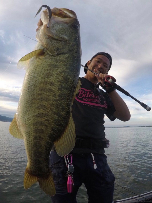 o0810108014213732791